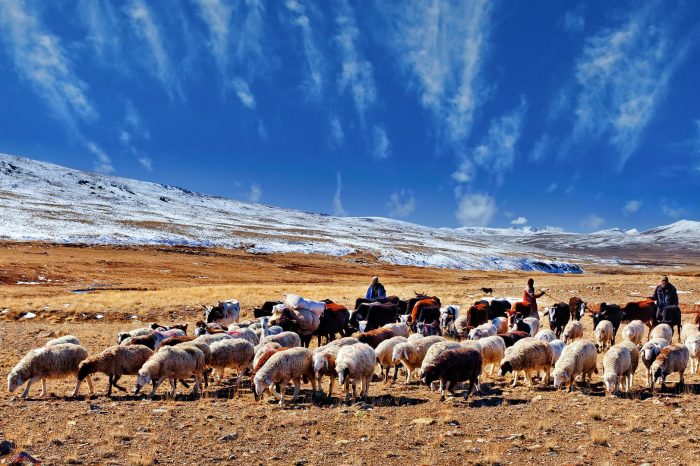 Deosai Plains, Karakoram