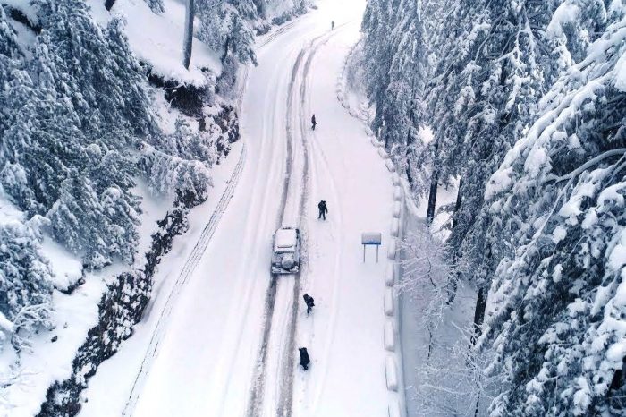 Ayubia National Park, Abbotabad